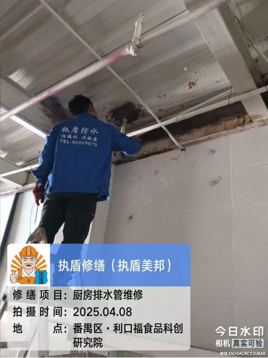 https://img2.danews.cc/upload/ajax/20250417/270477bac8aa320e0a7aba32a1ef574e.png
