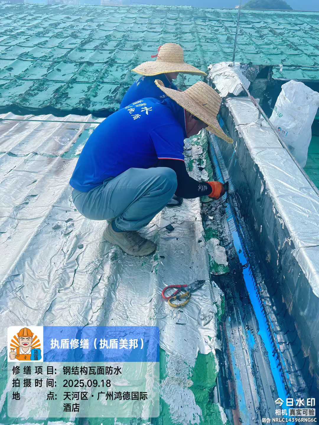 https://img2.danews.cc/upload/ajax/20250922/ef951b760a681b3da2dbb343d99b67b4.jpg