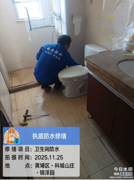 https://img2.danews.cc/upload/ajax/20251219/e8d42bdebef0eb64fcb11ed23440b444.png